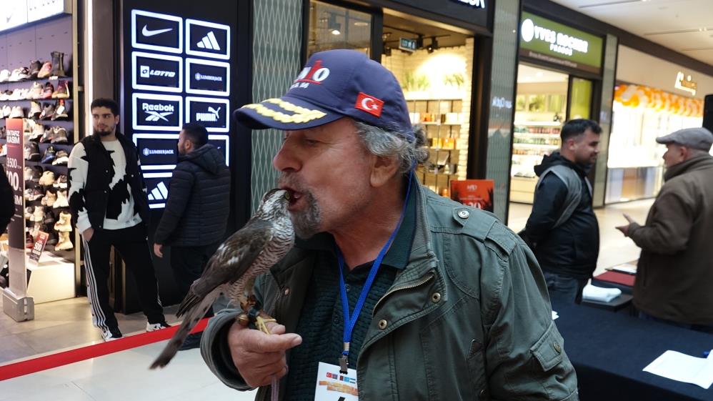 Atmacalar avm'de boy gösterdi