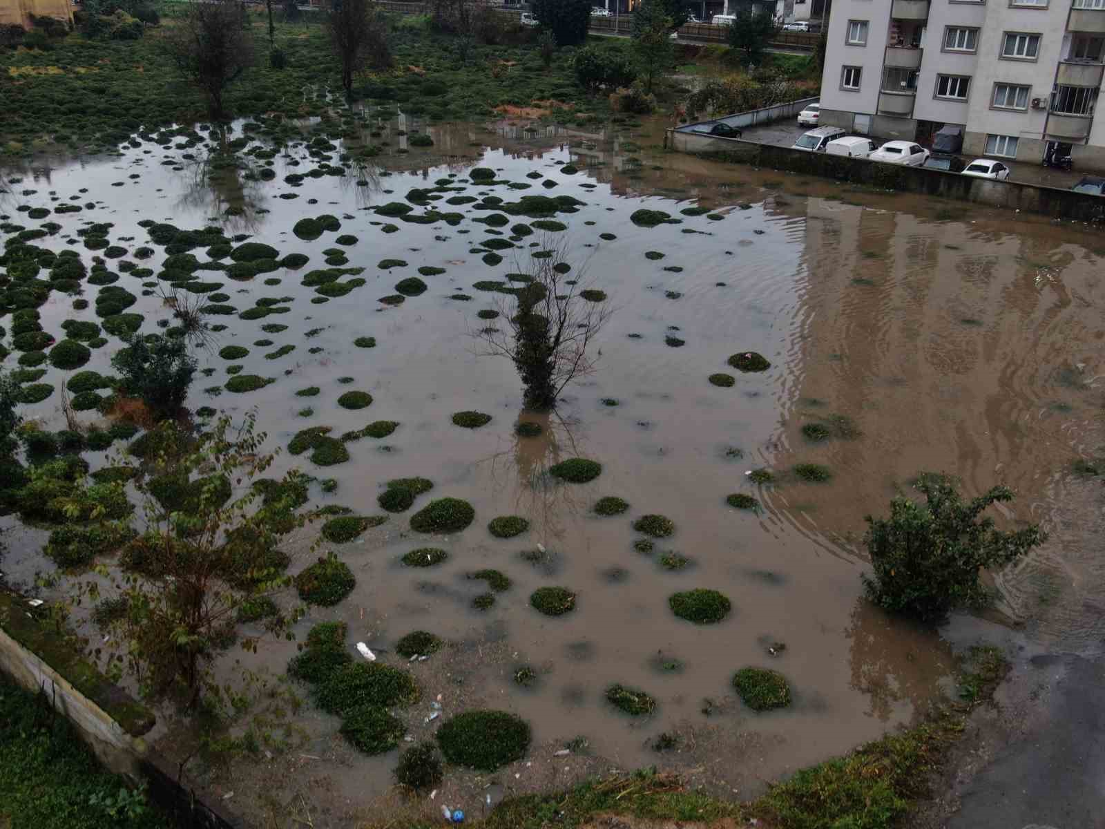 Çayeli'ndeki şiddetli yağmurdan sonra çaylıklar göle döndü
