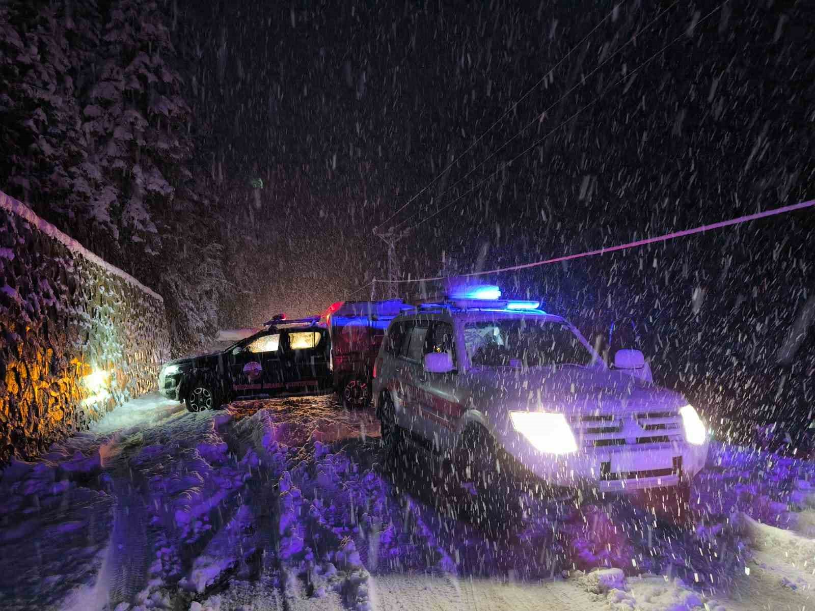 Rize'de Karda Kayarak Dereye Uçan Kamyonette 3 Kişi Yaralandı