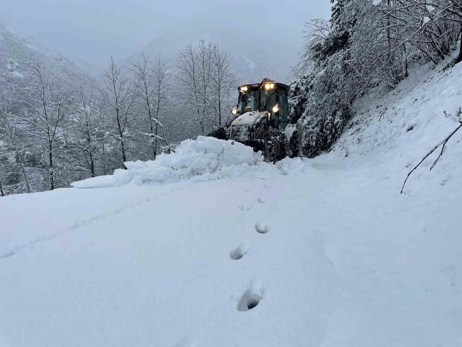 Doğu Karadeniz'de Kar Yağışı: 508 Köy ve Mahalle Yolu Kapandı