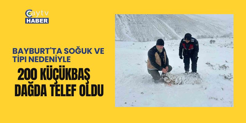 Bayburt’ta Yoğun Kar ve Tipi: 200 Küçükbaş Hayvan Telef Oldu
