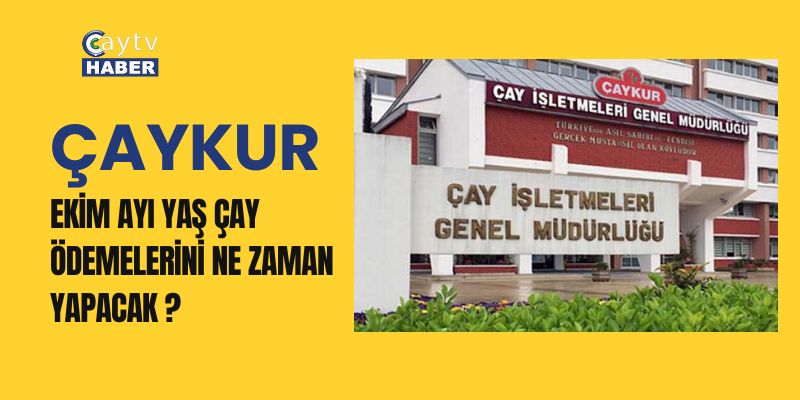 ÇAYKUR, Ekim Ayı Yaş Çay Ödemelerini 29 Kasım'da Yapacak