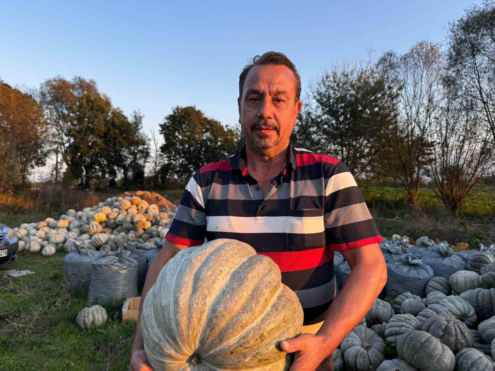 Ünlü Bal Kabağı Kilosu 10 Liradan Tezgaha İndi