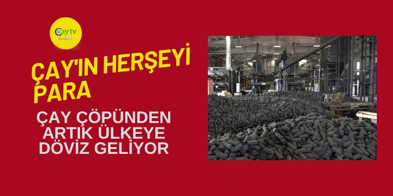 Çay'ın herşeyi para , Çay Çöpünden artık ülkeye döviz geliyor