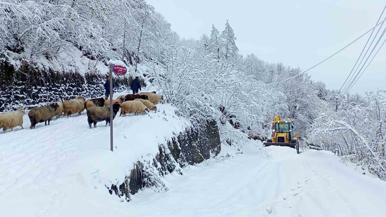 Doğu karadeniz'de 123 köy yolu kapalı
