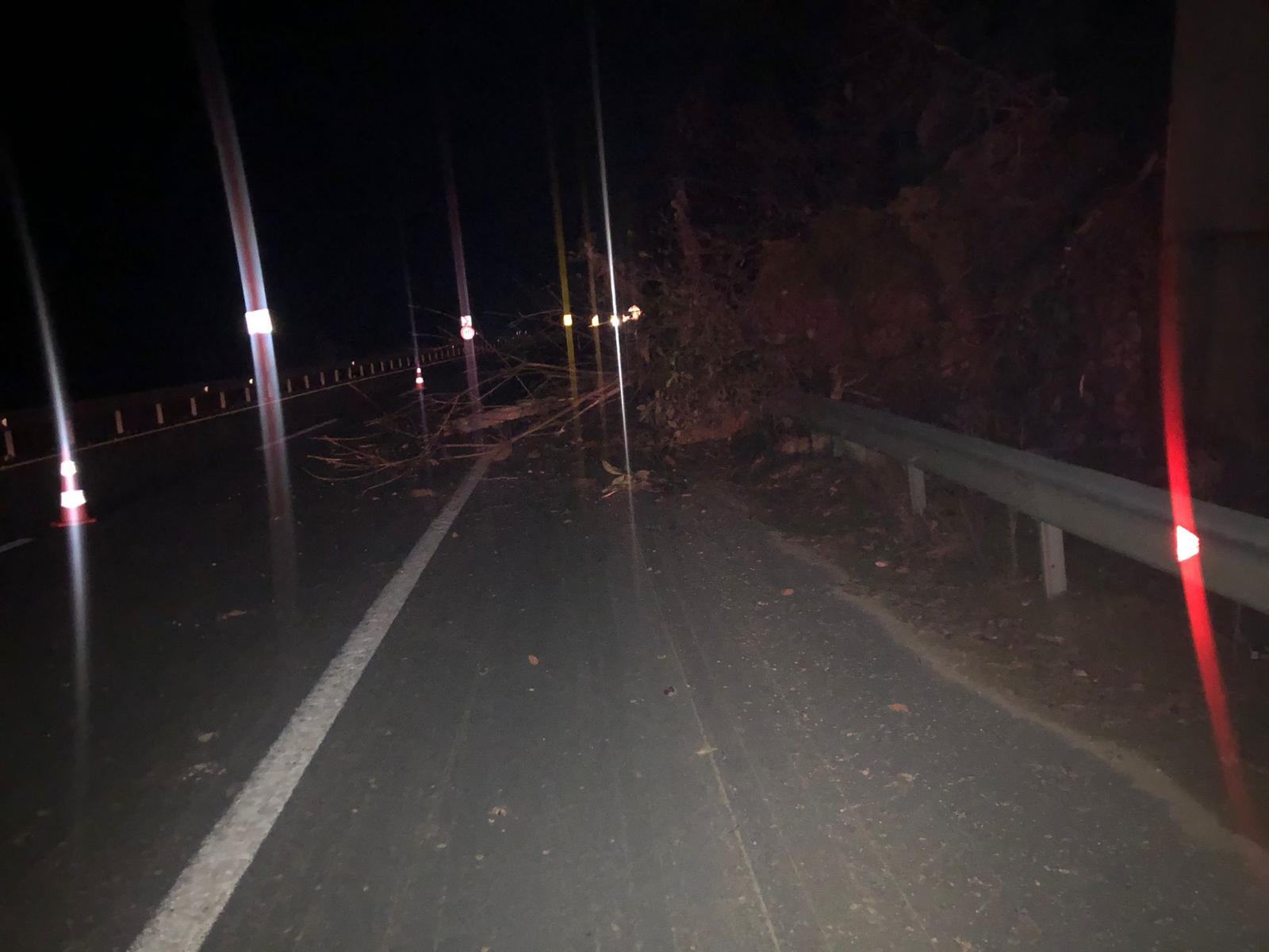 Karadeniz Sahil Yolunda Toprak Kayması: Bir Şerit Trafiğe Kapatıldı