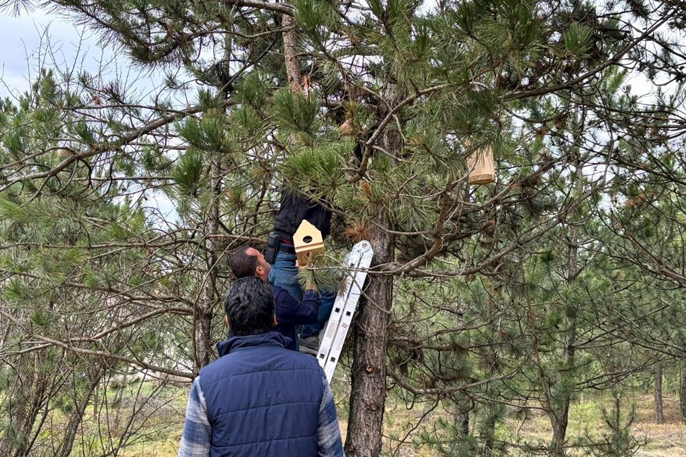 Kastamonu Üniversitesi'nde Üniversite Öğrencileri Kampüsü Kuş Yuvaları İle Donattı
