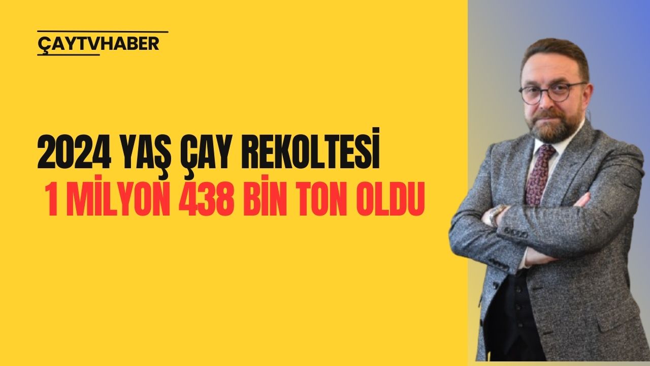 2024 Yaş Çay Rekoltesi 1 Milyon 438 Bin Ton Oldu