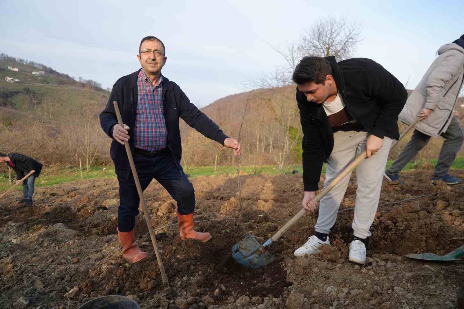 Bilim Adamından Kestane Ağaçlarının Çürümesini Engelleyen Buluş