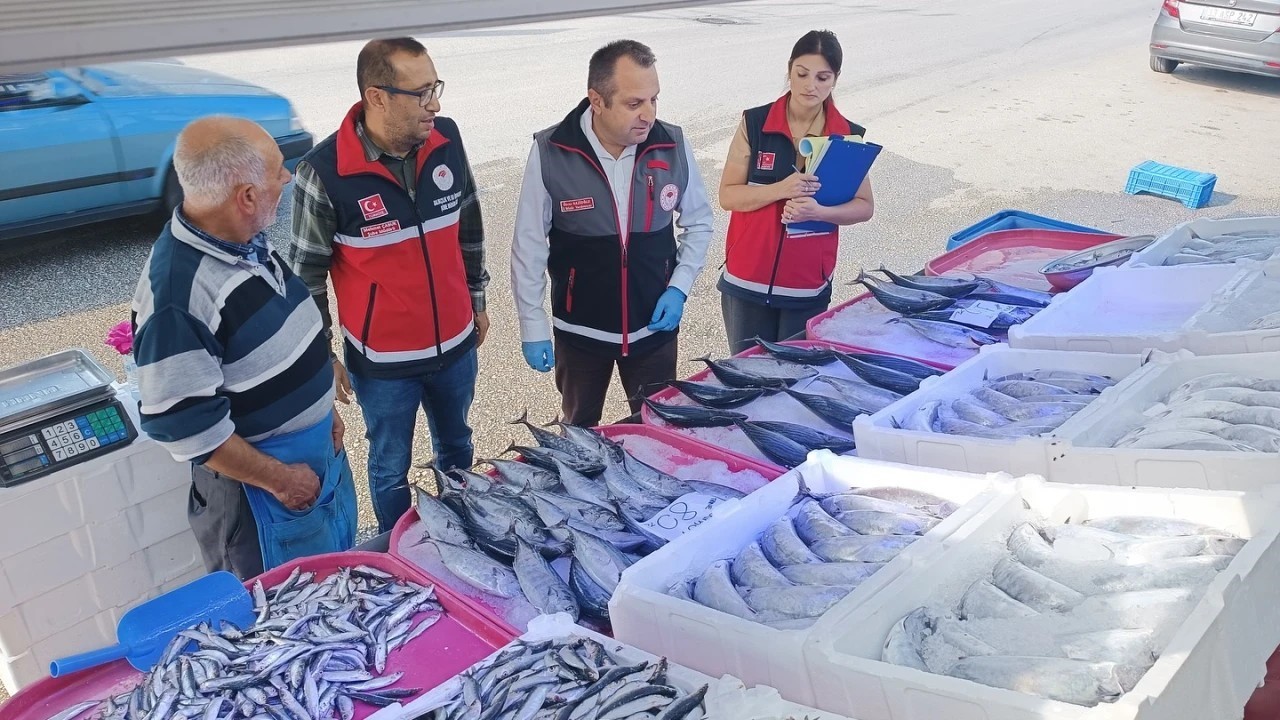 Kastamonu’da Su Ürünleri Denetimlerinde 14 Kişiye Toplam 244 Bin Lira Ceza Uygulandı