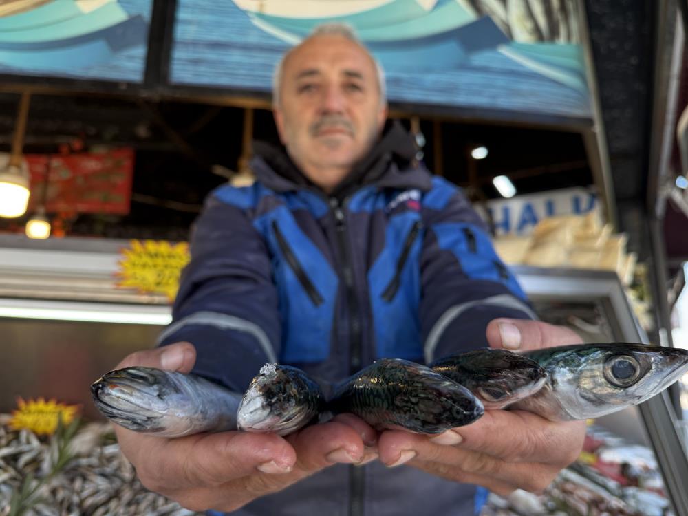 Karadeniz’de Palamut Sezonu Yeniden Açıldı