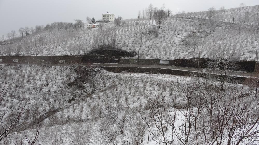 ordu’da Etkili Olan Kar Fındık İçin Zararlı Değil, Yararlı’