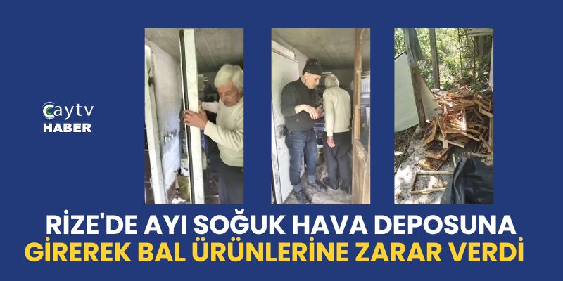 Rize'de Ayı Soğuk Hava Deposuna Girerek Bal Ürünlerine Zarar Verdi