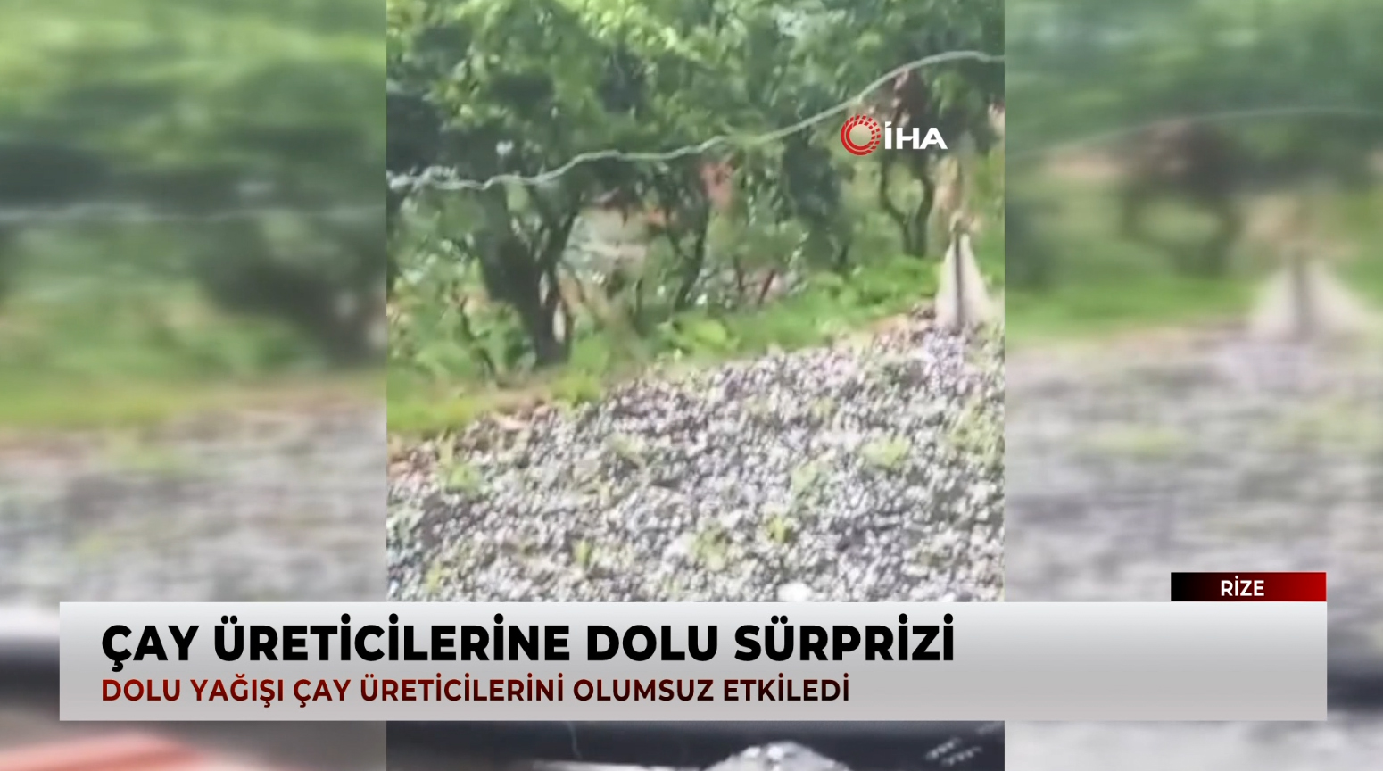 Çay Üreticilerine Dolu Sürprizi