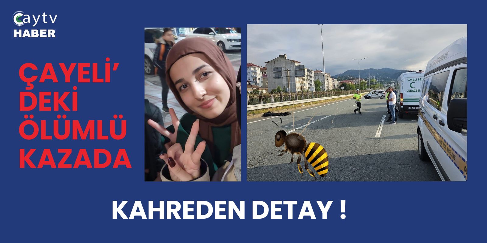Rize'deki Kazanın Nedeni Arı Paniki: 2 Kardeş Hayatını Kaybetti