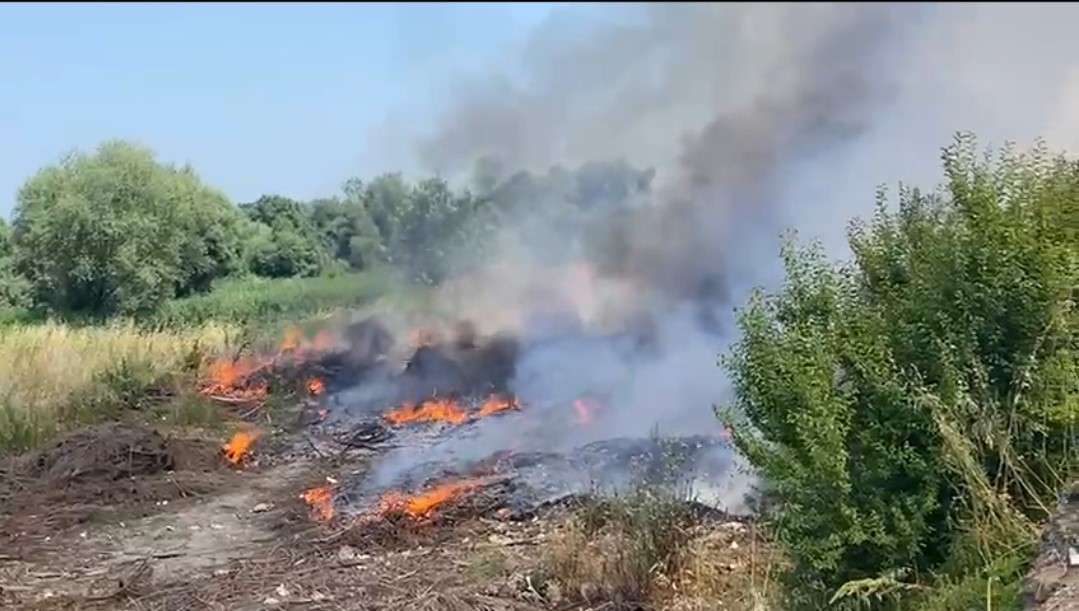 Bafra’da Ot Yangını Korkuttu