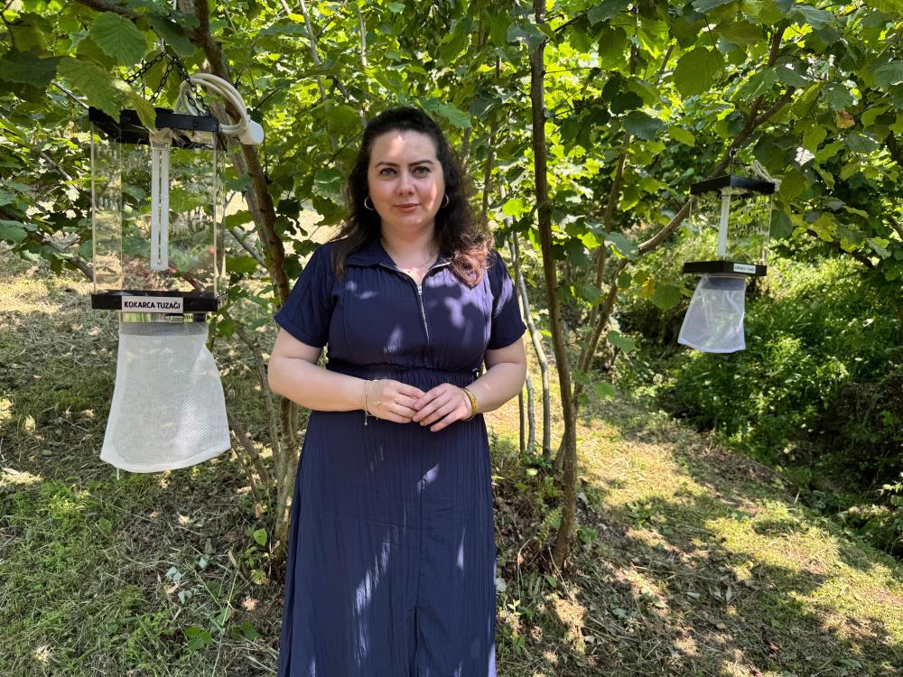 Kahverengi Kokarca İle Mücadelede Yeni Yöntem