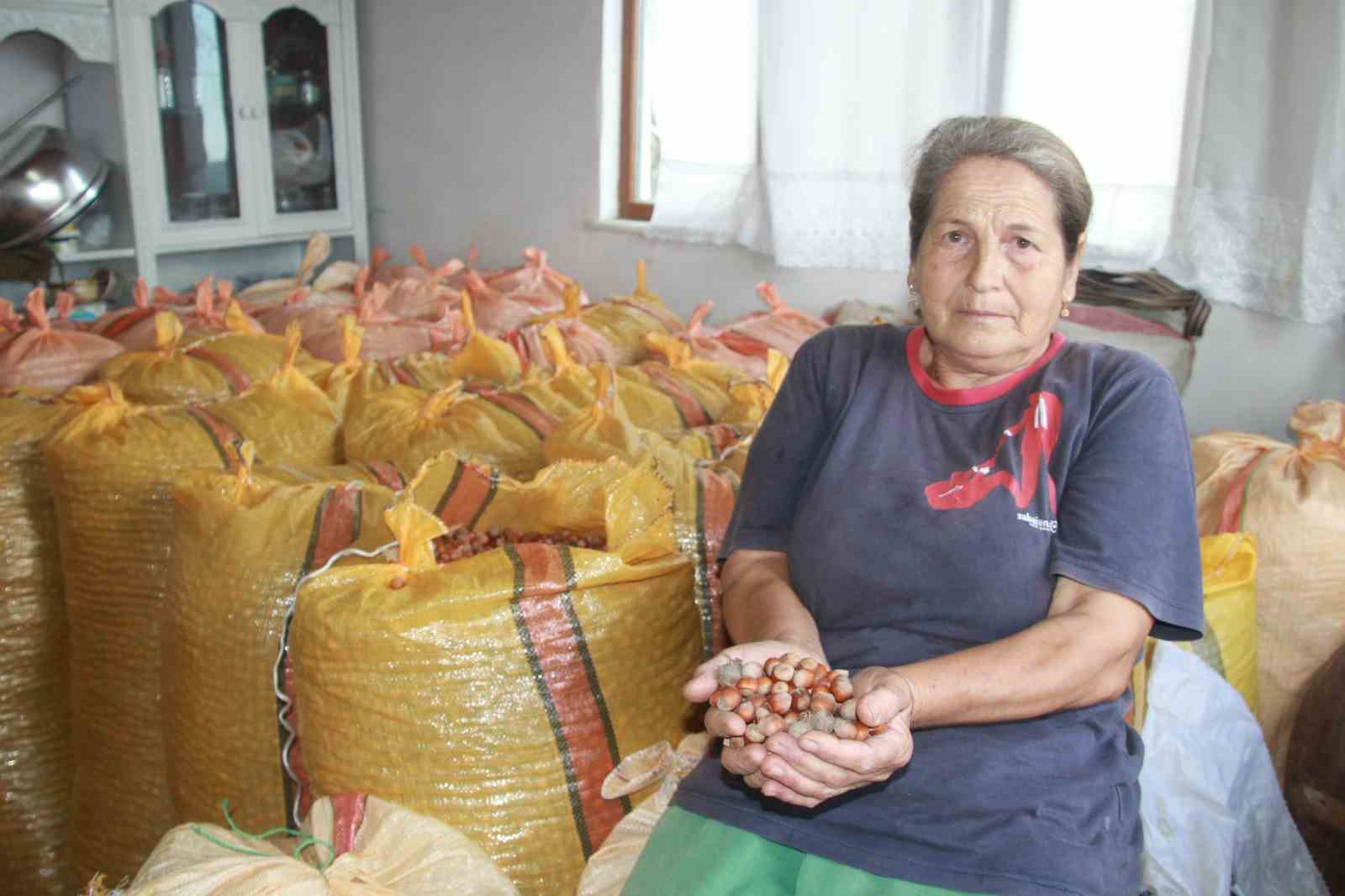 Fındık Üreticileri Mahsullerini Evde Depoluyor: Beklenti 500 Lira