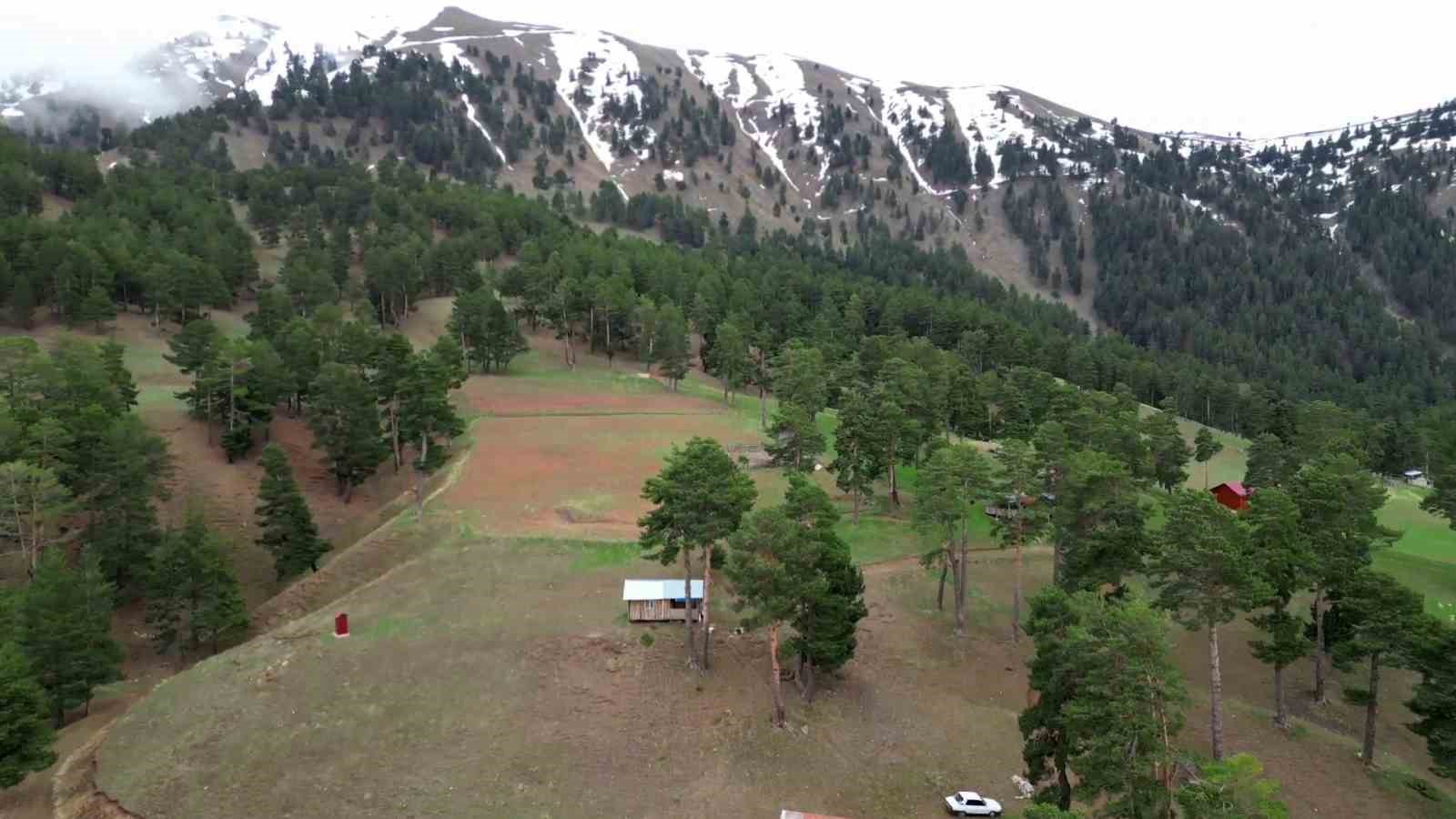 ERZURUM'UN UZUNDERE İLÇESİNE BAĞLI SAPACA MAHALLESİ Yaylalarına Erken Kar Sürprizi