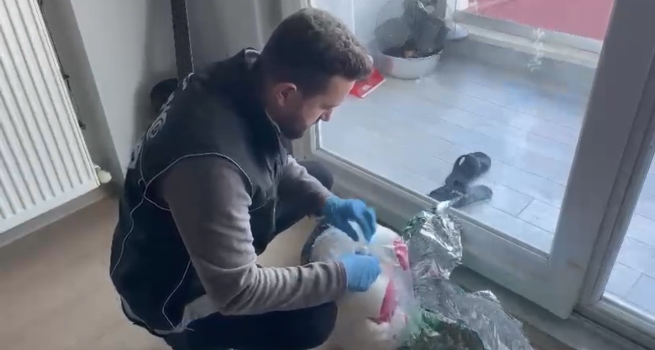 Oyuncak Ayı İçine Gizlenen Kokain Ele Geçirildi: 1 Gözaltı