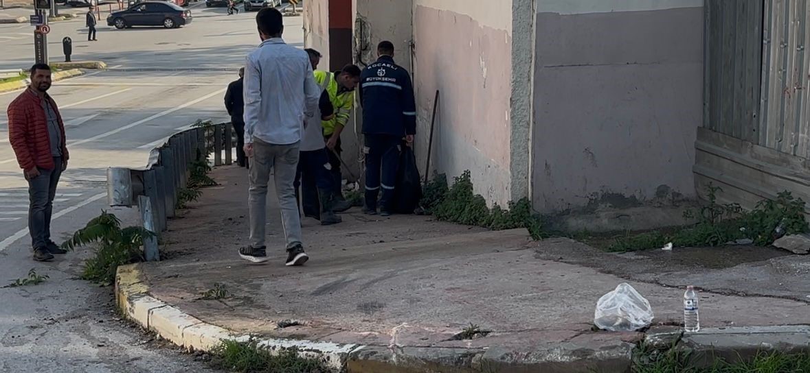 Kocaeli’de Freni Boşalan Otobüs Duvara Çarptı: 3’ü Polis 7 Yaralı