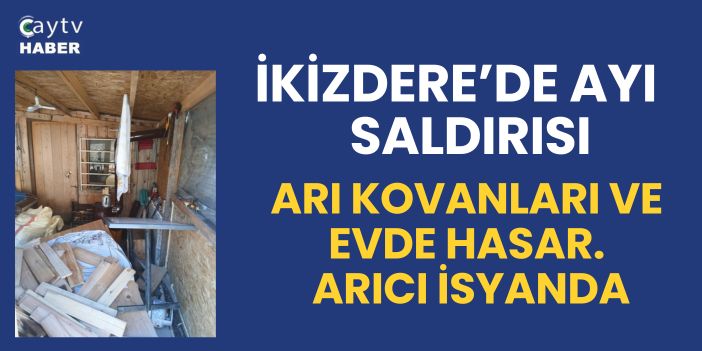 İkizdere’de ayı saldırısı: Arı kovanları ve evde hasar, arıcı isyanda