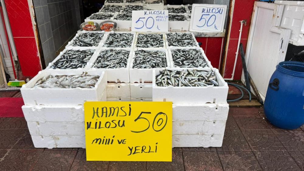 Rize’de Hamsi Bolluğu: Tezgahlarda Kilo Fiyatı 50 TL’ye Düştü