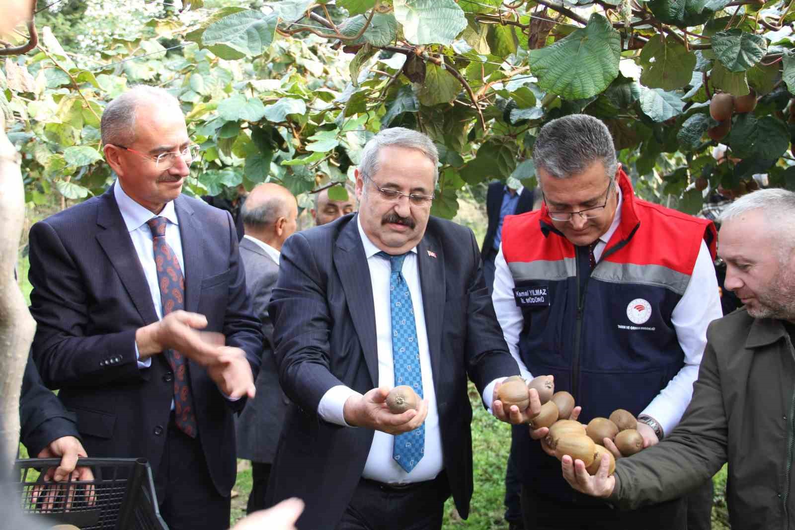 Samsun’da ‘2025 Yılı Kivi Hasat Etkinliği’