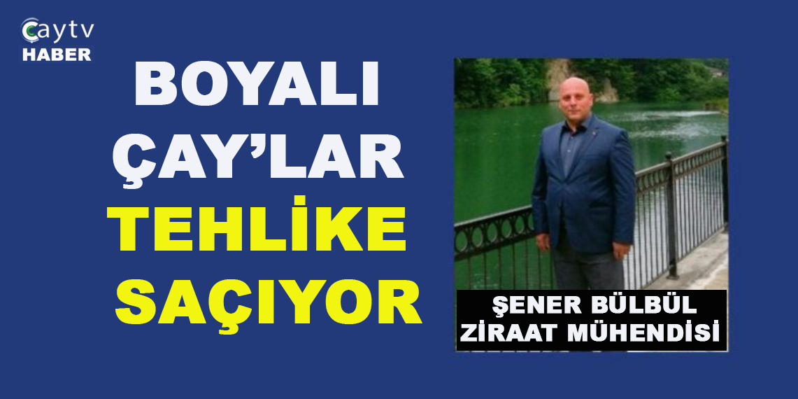 Bülbül ; Kafelerden,dinlenme tesislerine kadar  Servis Edilen Boyalı Çaylar: Artan Sağlık Riskleri ve Ekonomik Yük