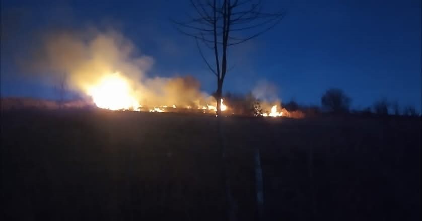 Ordu’da Fındık Bahçesinde Yangın