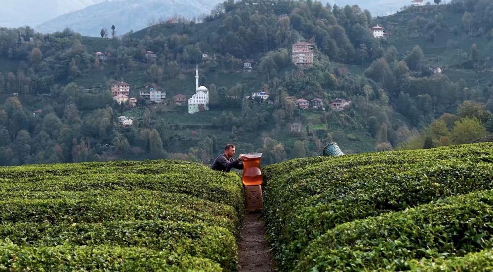 Rize’de Dev Çay Bardağı Çekimi Sosyal Medyada Gündem Oldu: İzleyenler Yapay Zekâ Sandı