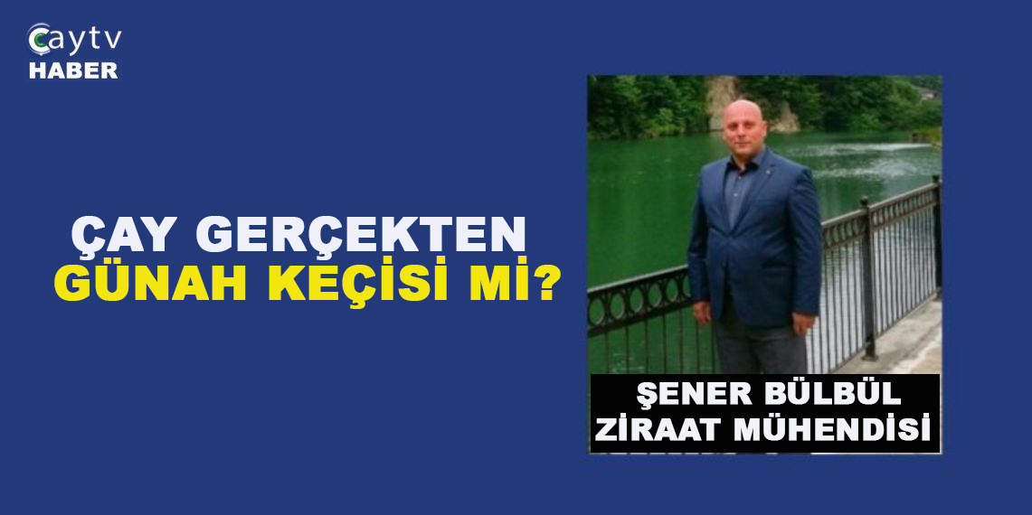Şener Bülbül ; Çay Gerçekten Günah Keçisi mi?