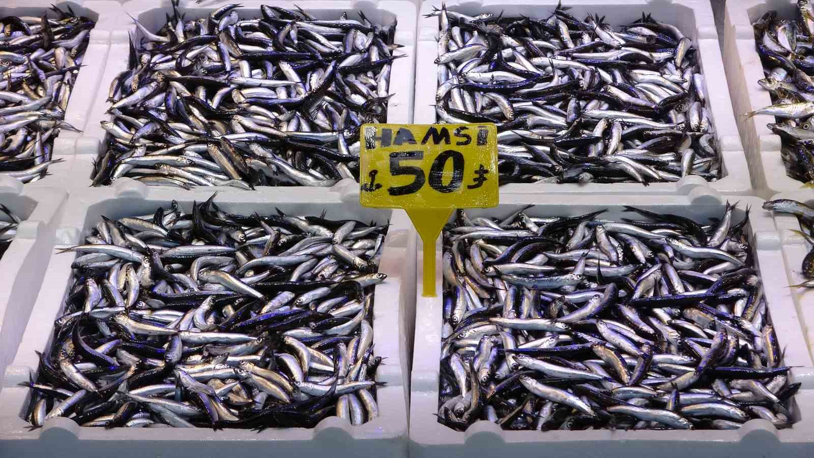 Karadeniz Son 35 Yılın En Bereketli Hamsi Sezonunu Yaşıyor