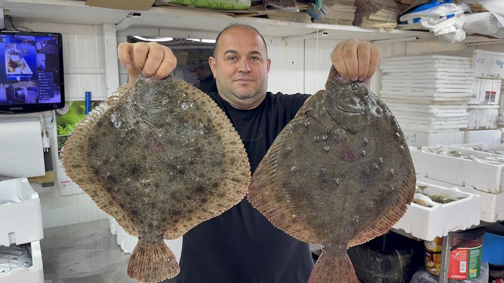 Karadeniz’de Hamsi Bereketi Tezgâhlara Çeşitlilik Olarak Yansıdı