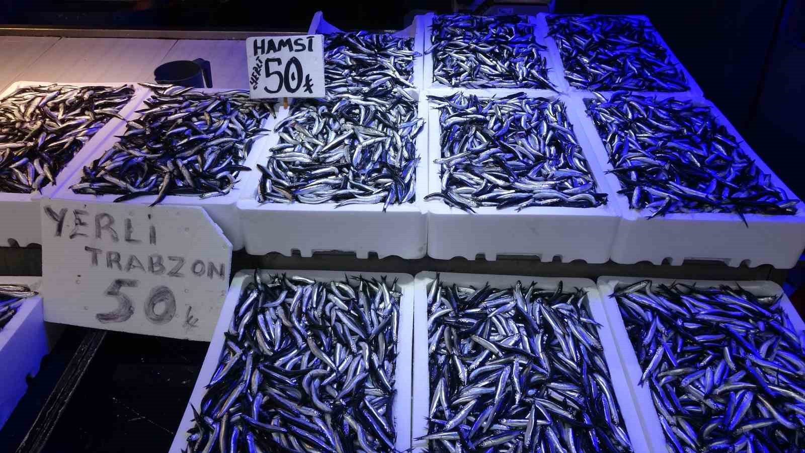 Karadeniz’den Bu Sezon Adeta Hamsi Fışkırıyor