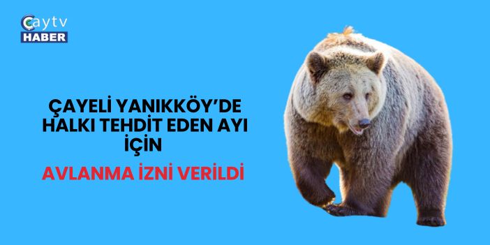 Çayeli Yanıkköy’de Halkı Tehdit Eden Ayı İçin Avlanma İzni Verildi