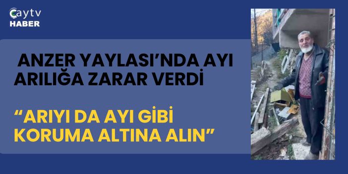 Anzer Yaylası’nda Ayı Arılığa Zarar Verdi: “Arıyı da Ayı Gibi Koruma Altına Alın”