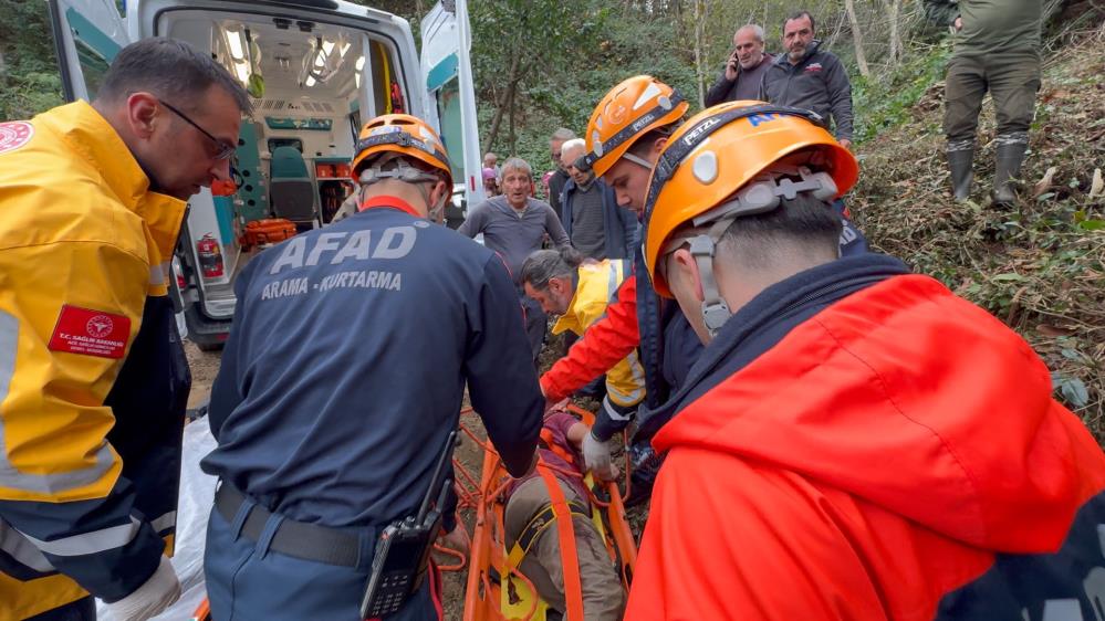 Rize’de Ağaç Kesimi Sırasında Yaralanan Vatandaş Hastaneye Kaldırıldı