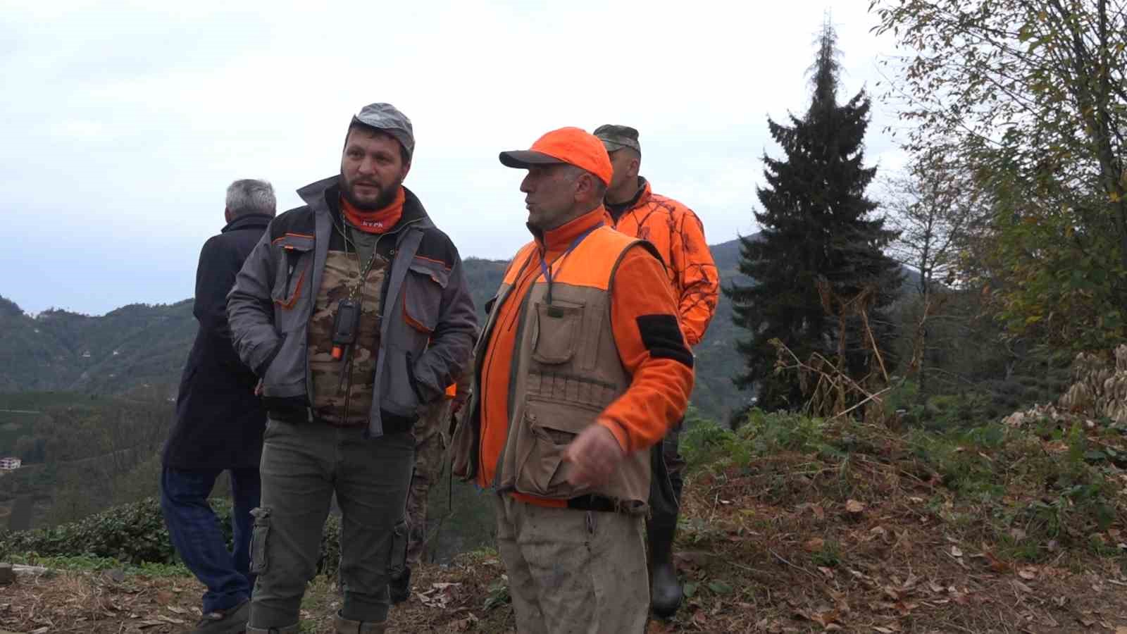 Doğu Karadeniz’de Ayı Popülasyonu Artınca Çiftçiler Av İzni Talep Etmeye Başladı