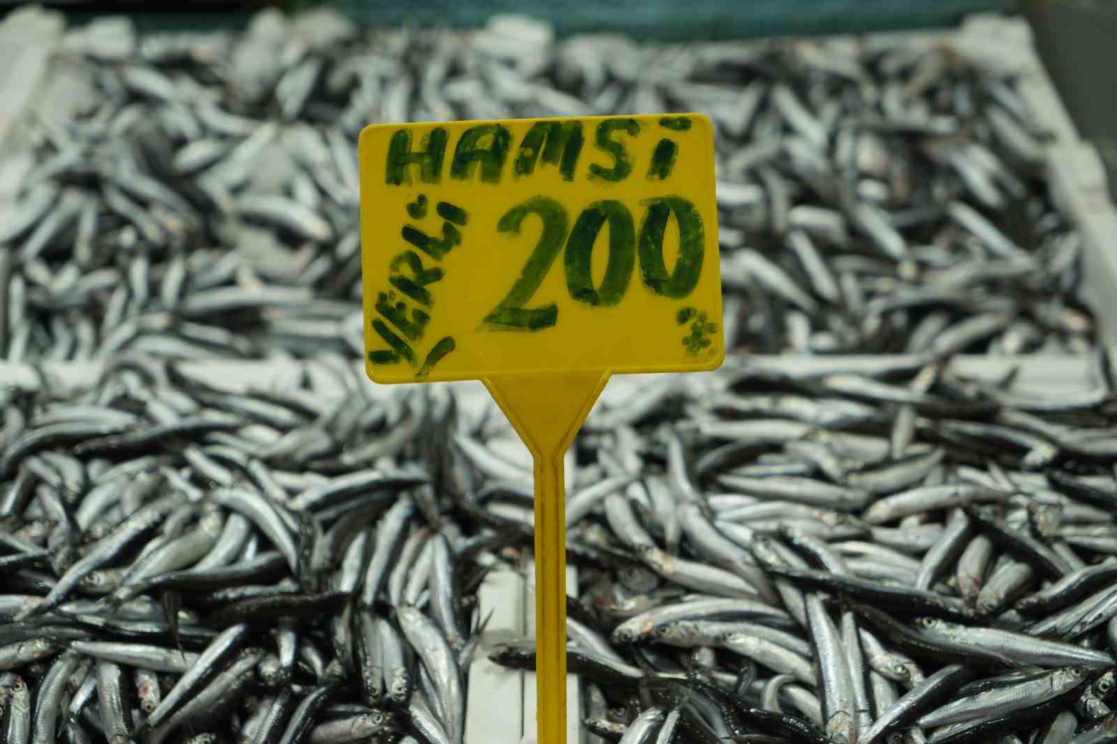 Hamsi Yeniden 200 TL’ye Yükseldi: Sezondaki Bolluk Yerini Azalmaya Bıraktı