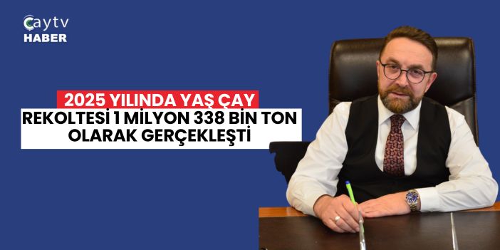 2025 Yılında Yaş Çay Rekoltesi 1 Milyon 338 Bin Ton Olarak Gerçekleşti