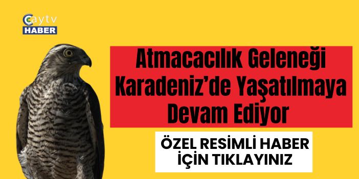 Atmacacılık Geleneği Karadeniz’de Yaşatılmaya Devam Ediyor