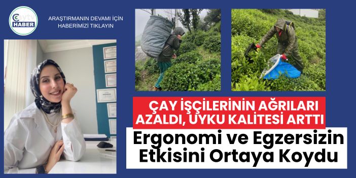Çay İşçilerinin Ağrıları Azaldı, Uyku Kalitesi Arttı