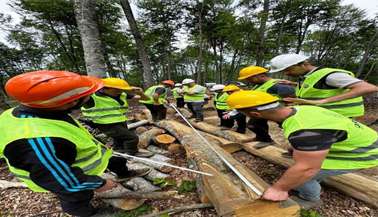 Samsun’da Orman Üretiminden 1,7 Milyar Tl Katkı