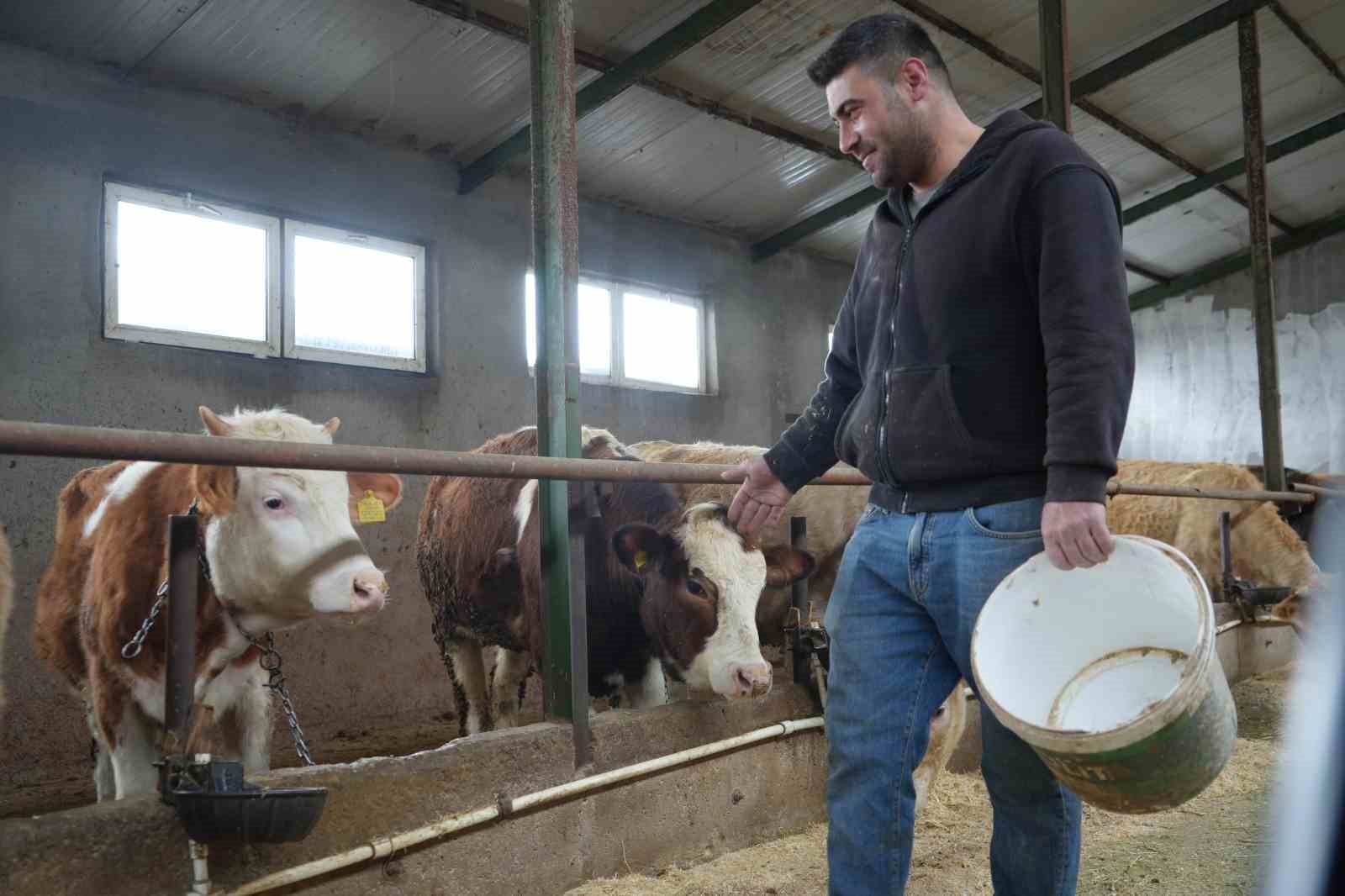 Bayburt'ta Yem Desteği Bayburtlu Çiftçinin Yüzünü Güldürdü: "bu Destek Bize İyi Geldi"