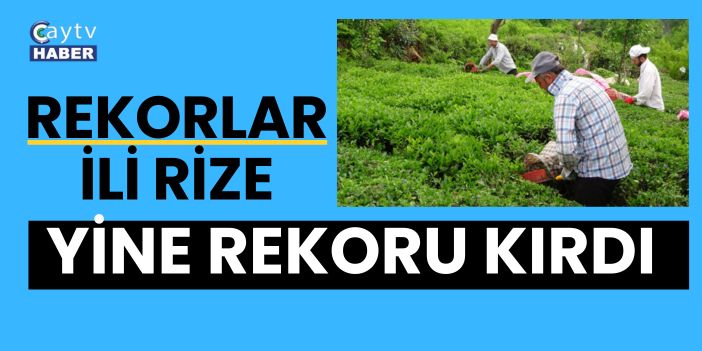Rize Yine Rekoru Kırdı