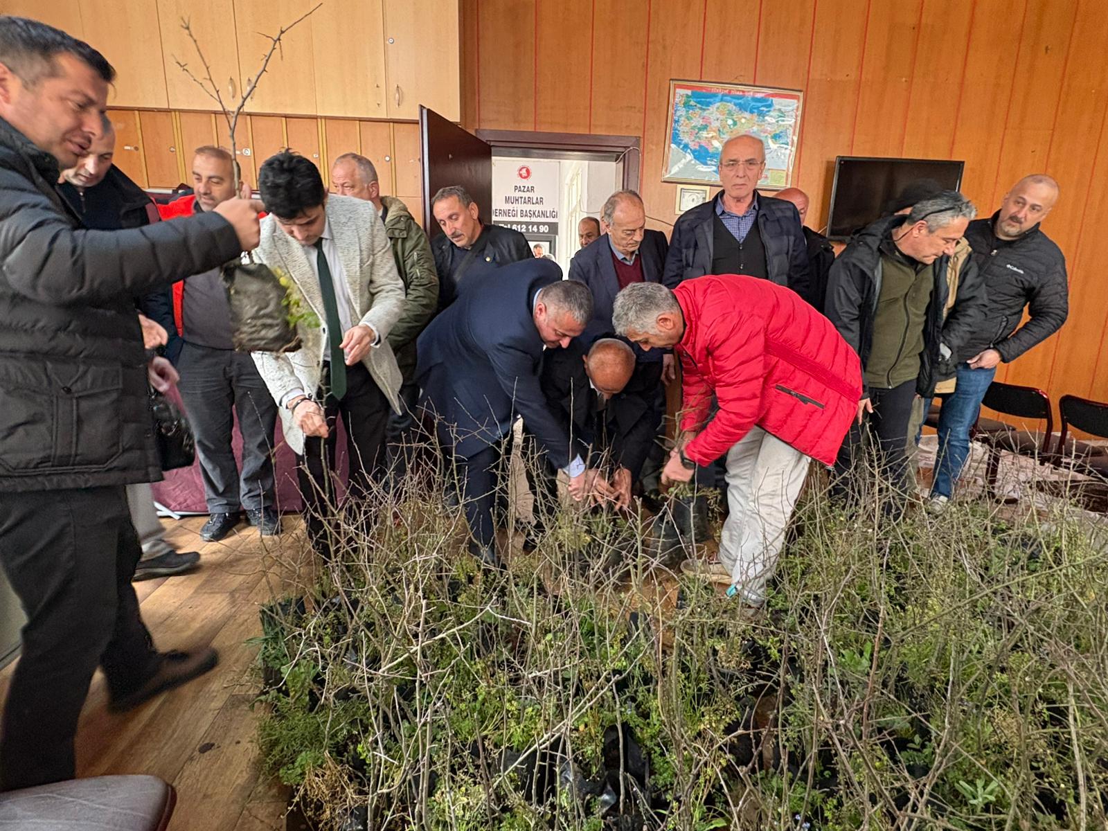 Pazar Laz Elması İçin Fidan Dağıtımı Yapıldı