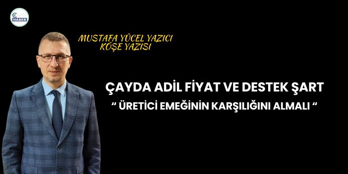 Mustafa Yücel Yazıcı Yazdı: " Çayda Adil Fiyat ve Destek Şart: Üretici Emeğinin Karşılığını Almalı "