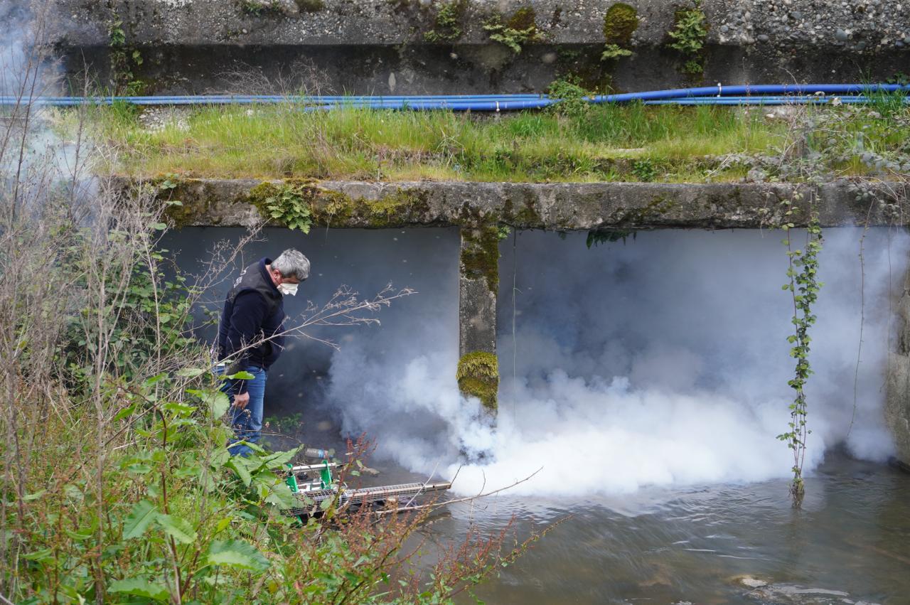 Rize’de Sivrisinekle Mücadele Başladı: Larva Dönemine Erken Müdahale