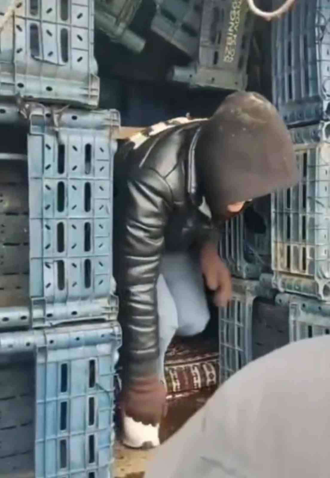 Düzce’de 7 Düzensiz Göçmen Yakalandı